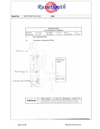 Tpi Example Report Pdf