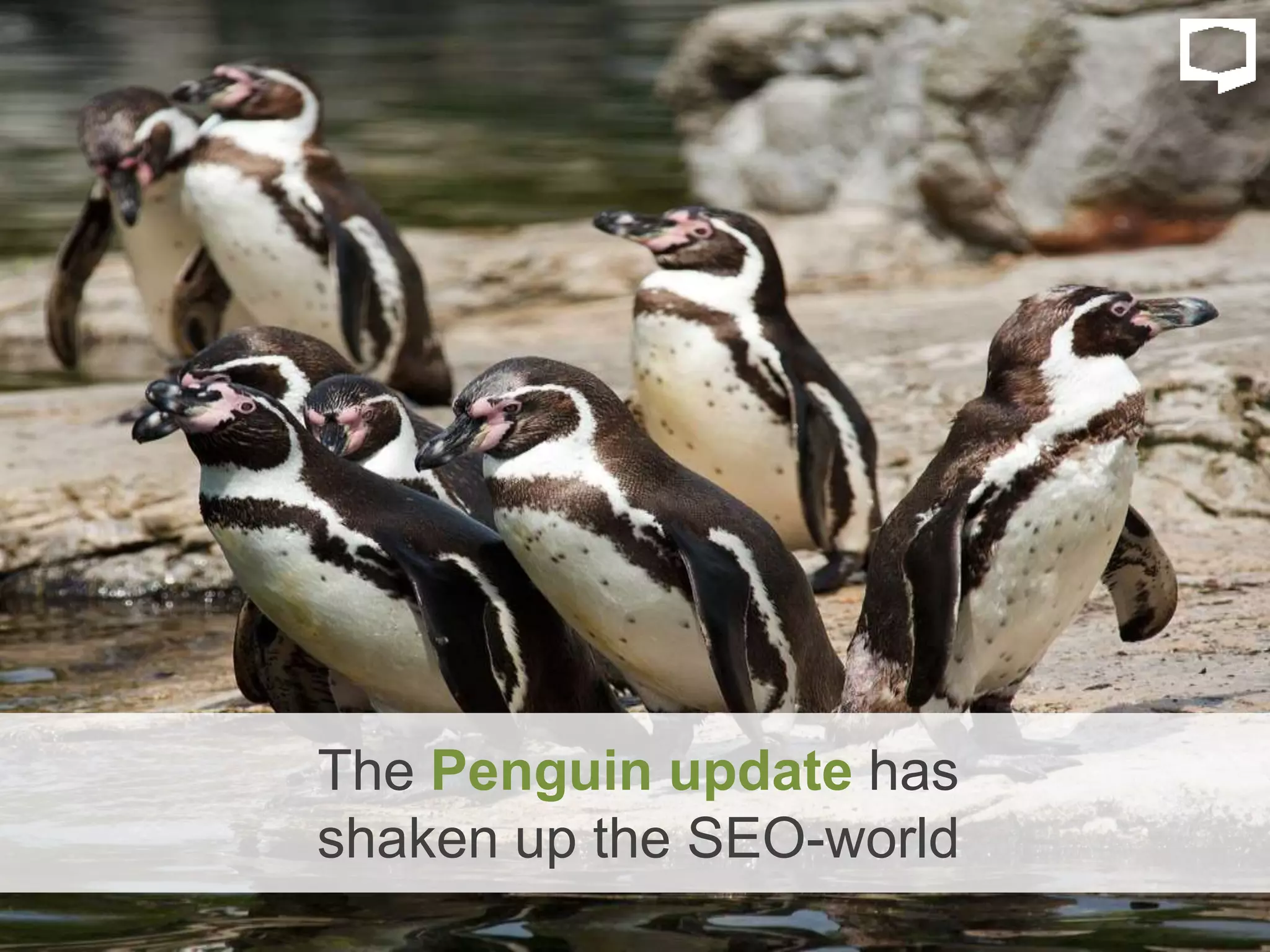 The Penguin update has
shaken up the SEO-world
 
