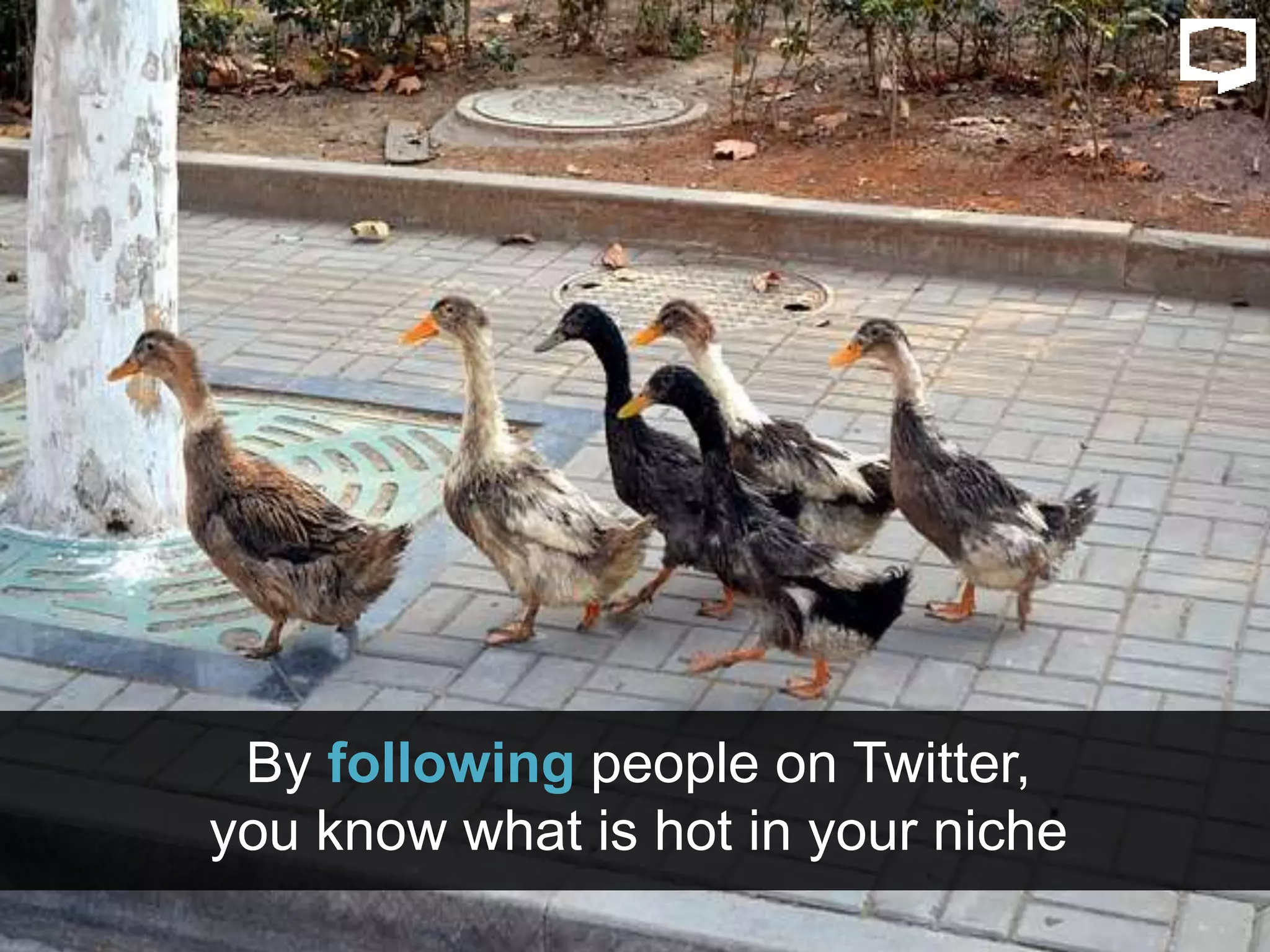 By following people on Twitter,
you know what is hot in your niche
 