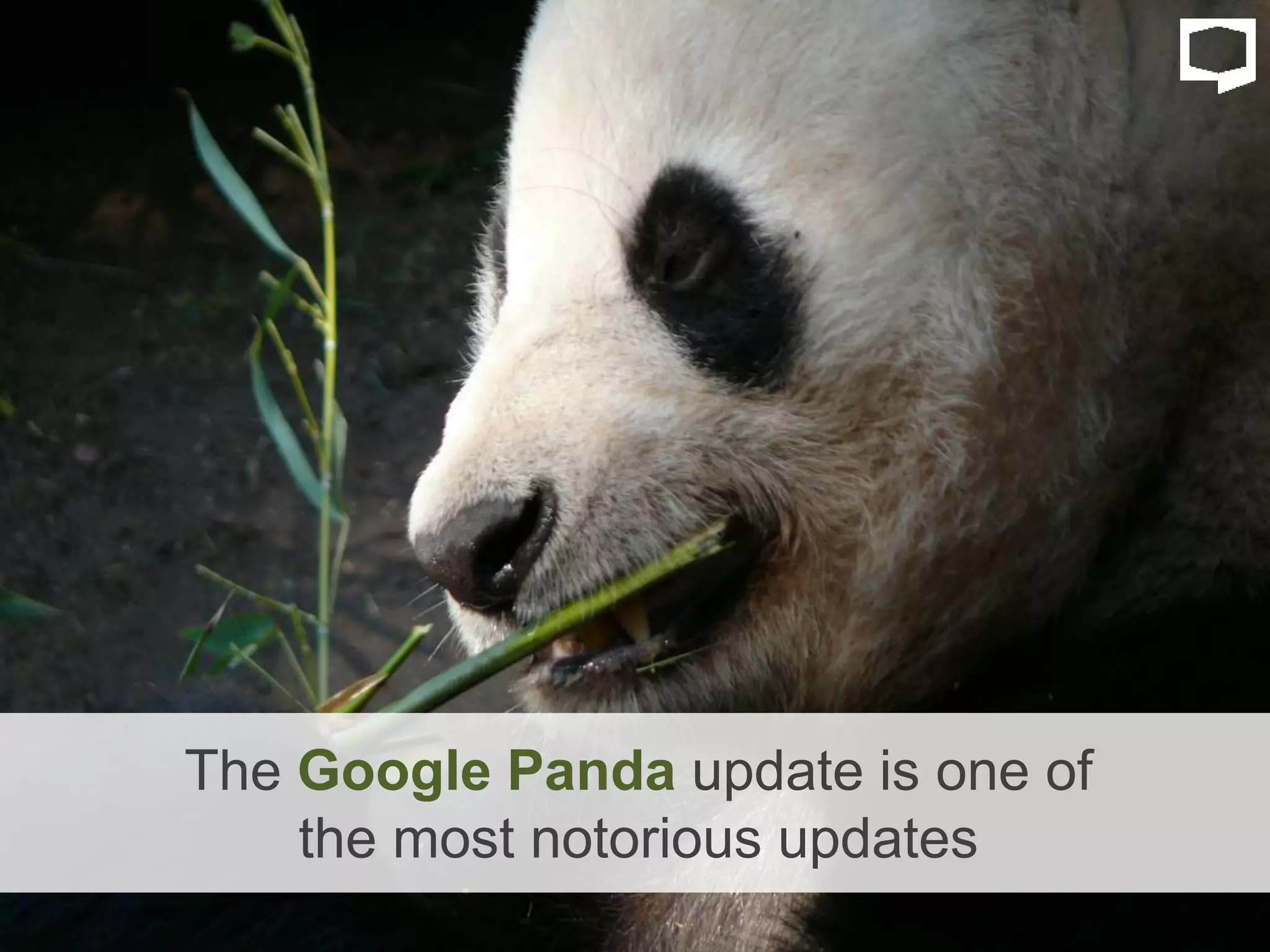 The Google Panda update is one of
the most notorious updates
 