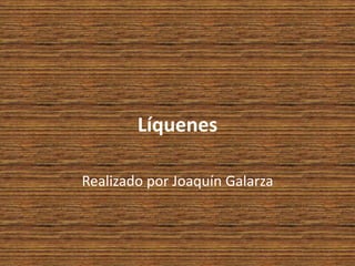 Líquenes
Realizado por Joaquín Galarza
 