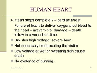 HUMAN HEART 4. Heart stops completely – cardiac arrest Failure of heart to deliver oxygenated blood to the head – irreversible  damage – death follow in a very short time Dry skin high voltage, severe burn Not necessary electrocuting the victim  Low voltage at wet or sweating skin cause death No evidence of burning.  