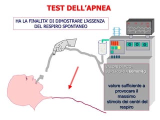Diagnosi di morte con criteri neurologici | PPTX
