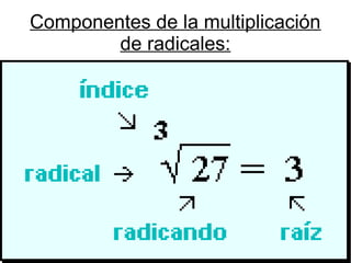 Componentes de la multiplicación
de radicales:
 