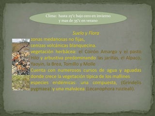 Clima: hasta 25°c bajo cero en invierno
              y mas de 35°c en verano


                    Suelo y Flora
zonas medanosas no fijas,
cenizas volcánicas blanquecina.
vegetación herbácea: el Coirón Amargo y el pasto
Hilo y arbustiva predominando las jarillas, el Alpaco,
Yaoyin, la Brea, Tomillo y Molle
Cuenta con numerosos cursos de agua y aguadas
donde crece la vegetación típica de los mallines
especies endémicas: una compuesta, (Grindelis
pygmaea) y una malvácea (Lecanophora ruizleali).
 