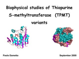 Biophysical studies of Thiopurine
S-methyltransferase (TPMT)
variants

Paolo Dametto

September 2009

 