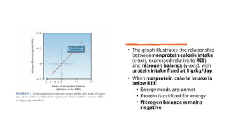 • The graph illustrates the relationship
between nonprotein calorie intake
(x-axis, expressed relative to REE)
and nitrogen balance (y-axis), with
protein intake fixed at 1 g/kg/day
• When nonprotein calorie intake is
below REE:
• Energy needs are unmet
• Protein is oxidized for energy
• Nitrogen balance remains
negative
 
