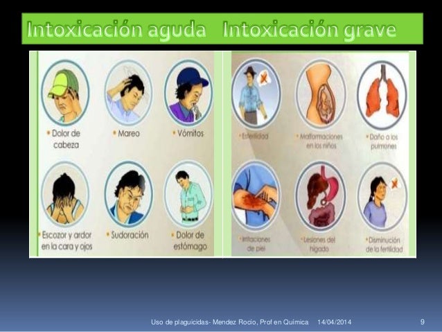 Uso de plaguicidas y su impacto en el ambiente y la salud