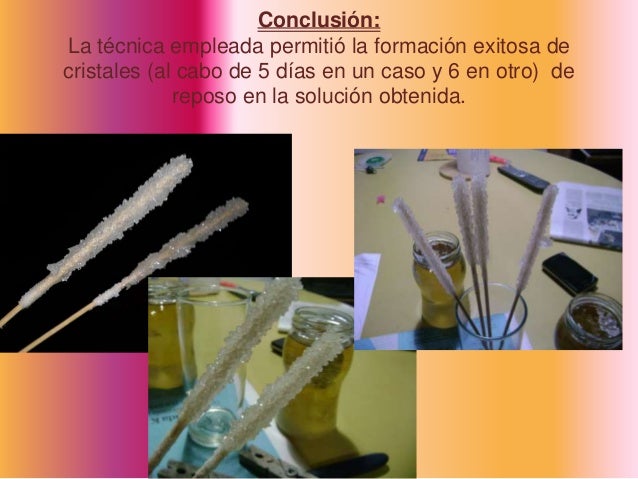 Sacarosa Funcion