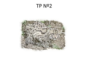 TP Nº2 