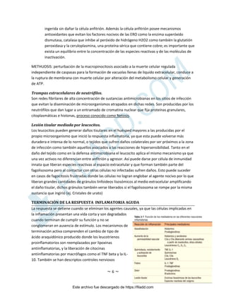 ~ 6 ~
ingerida sin dañar la célula anfitrión. Además la célula anfitrión posee mecanismos
antioxidantes que evitan los factores nocivos de las ERO como la enzima superóxido
dismutasa, catalasa que inhibe al peróxido de hidrógeno H2O2 como también la glutatión
peroxidasa y la ceruloplasmina, una proteína sérica que contiene cobre; es importante que
exista un equilibrio entre la concentración de las especies reactivas y de las moléculas de
inactivación.
METHUOSIS: perturbación de la macropinocitosis asociado a la muerte celular regulada
independiente de caspasas para la formación de vacuolas llenas de liquido extracelular, conduce a
la ruptura de membrana con muerte celular por alteración del metabolismo celular y generación
de ATP.
Trampas extracelulares de neutrófilos.
Son redes fibrilares de alta concentración de sustancias antimicrobianas en los sitios de infección
que evitan la diseminación de microorganismos atrapados en dichas redes. Son producidas por los
neutrófilos que dan lugar a un entramado de cromatina nuclear que fija proteínas granulares,
citoplasmáticas e histonas, proceso conocido como Netosis.
Lesión tisular mediada por leucocitos.
Los leucocitos pueden generar daños tisulares en el huésped mayores a las producidas por el
propio microorganismo que inició la respuesta inflamatoria, ya que esta puede volverse más
duradera e intensa de lo normal, o tejidos que sufren daños colaterales por ser próximos a la zona
de infección como también aquellos asociados a las reacciones de hipersensibilidad. Tanto en el
daño del tejido como en la defensa antimicrobiana el leucocito aplica el mismo mecanismo ya que
una vez activos no diferencian entre anfitrión y agresor. Así puede darse por célula de inmunidad
innata que liberan especies reactivas al espacio extracelular y que forman también parte del
fagolisosoma pero al contactar con otras células no infectadas sufren daños. Esto puede suceder
en casos de fagocitosis frustradas donde las células no logran englobar al agente nocivo por lo que
liberan grandes cantidades de gránulos linfoideos lisosómicos al medio extracelular amplificando
el daño tisular, dichos gránulos también verse liberados si el fagolisosoma se rompe por la misma
sustancia que ingirió (ej. Cristales de urato)
TERMINACIÓN DE LA RESPUESTA INFLAMATORIA AGUDA
La respuesta se detiene cuando se eliminan los agentes causales, ya que las células implicadas en
la inflamación presentan una vida corta y son degradados
cuando terminan de cumplir su función y no se
conglomeran en ausencia de estímulo. Los mecanismos de
terminación activa comprenden el cambio de tipo de
ácido araquidónico producido donde los leucotrienos
proinflamatorios son reemplazados por lipoxinas
antiinflamatorias, y la liberación de citocinas
antiinflamatorias por macrófagos como el TNF beta y la IL-
10. También se han descriptos controles nerviosos
Este archivo fue descargado de https://filadd.com

F
I
L
A
D
D
.
C
O
M
 