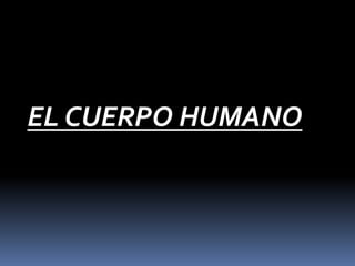 EL CUERPO HUMANO
 