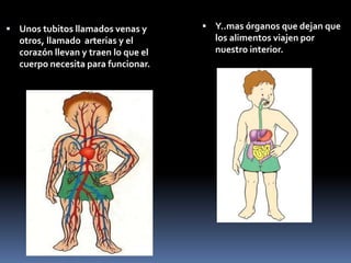  Unos tubitos llamados venas y
otros, llamado arterias y el
corazón llevan y traen lo que el
cuerpo necesita para funcionar.
 Y..mas órganos que dejan que
los alimentos viajen por
nuestro interior.
 
