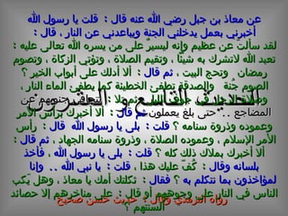 الحديث  التاسع و العشرون عن معاذ بن جبل رضي الله عنه قال  :  قلت يا رسول الله أخبرني بعمل يدخلني الجنة ويباعدني عن النار ، قال  : رواه الترمذي وقال  :  حديث حسن صحيح لقد سألتَ عن عظيم وإنه ليسيرٌ على من يسره الله تعالى عليه  :  تعبد الله لاتشرك به شيئاً ، وتقيم الصلاة ، وتؤتي الزكاة ، وتصوم رمضان  وتحج البيت ،  ثم قال   :  ألا أدلك على أبواب الخير ؟ الصوم جُنة  والصدقة تطفئ الخطيئة كما يطفئ الماء النار ، وصلاة الرجل في جوف الليل ، ثم تلا  :  تتجافى جنوبهم عن المضاجع  ..  حتى بلغ يعملون   ثم قال   :  ألا أخبرك برأس الأمر وعموده وذروة سنامه ؟  قلت  :  بلى يا رسول الله   قال  :  رأس الأمر الإسلام ، وعموده الصلاة ، وذروة سنامه الجهاد ،  ثم قال   :  ألا أخبرك بملاك ذلك كله ؟  قلت  :  بلى يا رسول الله  ،  فأخذ بلسانه وقال   :  كُفّ عليك هذا ،  قلت  :  يا نبي الله  ..  وإنا لمؤاخذون بما نتكلم به  ؟  فقال  :  ثكلتك أمك يا معاذ ، وهل يَكب الناس في النار على وجوههم أو قال  :  على مناخرهم إلا حصائد ألسنتهم ؟ 