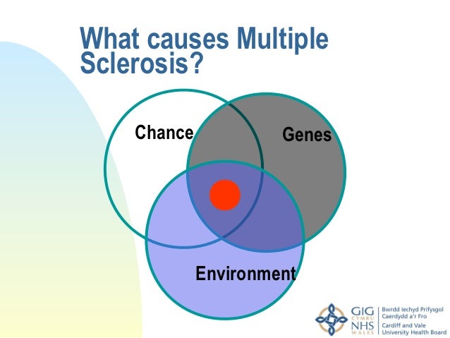 an introduction to multiple sclerosis a chronic and disabling disease Multiple sclerosis is the most common chronic disabling disease of the central nervous system in young adults it affects 1 in 1000 people in western countries 1 it is primarily characterized by. an introduction to multiple sclerosis a chronic and disabling disease Multiple sclerosis is the most common chronic disabling disease of the central nervous system in young adults it affects 1 in 1000 people in western countries 1 it is primarily characterized by.