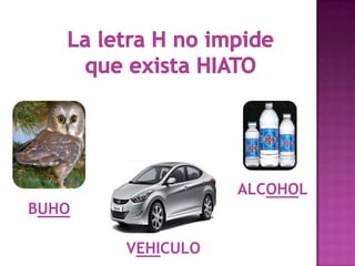 BUHO
ALCOHOL
VEHICULO