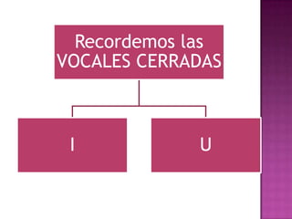 Recordemos las
VOCALES CERRADAS
I U