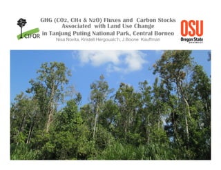 GHG (CO2, CH4 & N2O) Fluxes and Carbon Stocks
       Associated with Land Use Change
in Tanjung Puting National Park, Central Borneo
     Nisa Novita, Kristell Hergoualc’h, J.Boone Kauffman
 