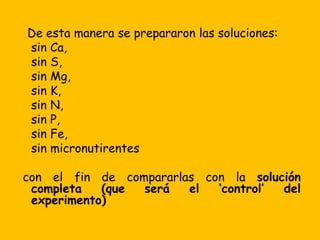 De esta manera se prepararon las soluciones:
sin Ca,
sin S,
sin Mg,
sin K,
sin N,
sin P,
sin Fe,
sin micronutirentes
con el fin de compararlas con la solución
completa (que será el ‘control’ del
experimento)
 