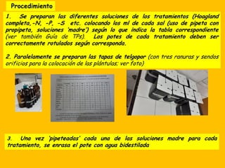 Procedimiento
1. Se preparan las diferentes soluciones de los tratamientos (Hoagland
completa,-N, -P, -S etc. colocando los ml de cada sal (uso de pipeta con
propipeta, soluciones ‘madre’) según lo que indica la tabla correspondiente
(ver también Guía de TPs). Los potes de cada tratamiento deben ser
correctamente rotulados según corresponda.
2. Paralelamente se preparan las tapas de telgopor (con tres ranuras y sendos
orificios para la colocación de las plántulas; ver foto)
3. Una vez ‘pipeteadas’ cada una de las soluciones madre para cada
tratamiento, se enrasa el pote con agua bidestilada
 