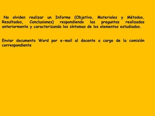 No olviden realizar un Informe (Objetivo, Materiales y Métodos,
Resultados, Conclusiones) respondiendo las preguntas realizadas
anteriormente y caracterizando los síntomas de los elementos estudiados.
Enviar documento Word por e-mail al docente a cargo de la comisión
correspondiente
 
