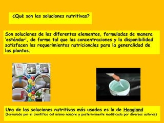 ¿Qué son las soluciones nutritivas?
Son soluciones de los diferentes elementos, formuladas de manera
‘estándar’, de forma tal que las concentraciones y la disponibilidad
satisfacen los requerimientos nutricionales para la generalidad de
las plantas.
Una de las soluciones nutritivas más usadas es la de Hoagland
(formulada por el científico del mismo nombre y posteriormente modificada por diversos autores)
 