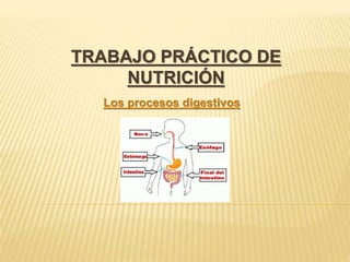 TRABAJO PRÁCTICO DE
NUTRICIÓN
Los procesos digestivos
 