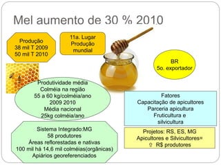 Mel aumento de 30 % 2010
21
Produção
38 mil T 2009
50 mil T 2010
11a. Lugar
Produção
mundial
BR
5o. exportador
Fatores
Capacitação de apicultores
Parceria apicultura
Fruticultura e
silvicultura
Projetos: RS, ES, MG
Apicultores e Silvicultores=
 R$ produtores
Produtividade média
Colméia na região
55 a 60 kg/colméia/ano
2009 2010
Média nacional
25kg colméia/ano
Sistema Integrado:MG
58 produtores
Áreas reflorestadas e nativas
100 mil há 14,6 mil colméias(orgânicas)
Apiários georeferenciados
 