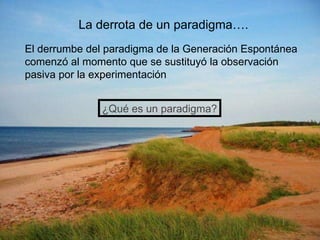 La derrota de un paradigma…. El derrumbe del paradigma de la Generación Espontánea comenzó al momento que se sustituyó la observación pasiva por la experimentación  ¿Qué es un paradigma? 
