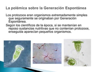 Los protozoos eran organismos extremadamente simples que seguramente se originaban por Generación Espontánea. Según los científicos de la época, si se mantenían en reposo sustancias nutritivas que no contenían protozoos, enseguida aparecían pequeños organismos. 
