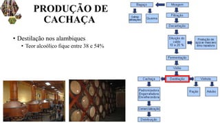 • Destilação nos alambiques
• Teor alcoólico fique entre 38 e 54%
PRODUÇÃO DE
CACHAÇA
 
