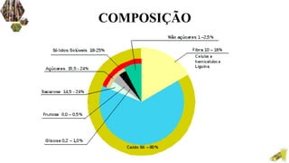 COMPOSIÇÃO
 