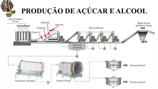 PRODUÇÃO DE AÇÚCAR E ALCOOL
 