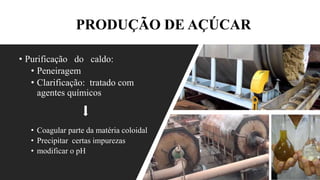 PRODUÇÃO DE AÇÚCAR
• Purificação do caldo:
• Peneiragem
• Clarificação: tratado com
agentes químicos
• Coagular parte da matéria coloidal
• Precipitar certas impurezas
• modificar o pH
 