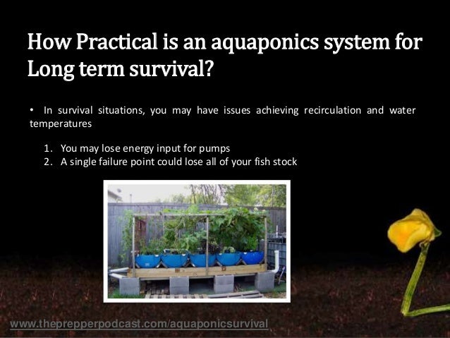 tpp 132: aquaponics interview on changing earth podcast