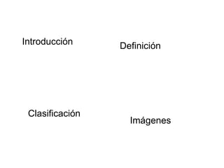 Introducción Definición
Clasificación
Imágenes
 