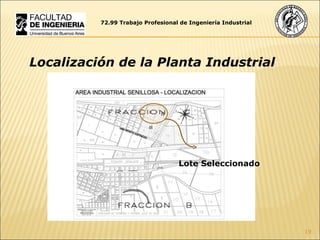 72.99 Trabajo Profesional de Ingeniería Industrial Localización de la Planta Industrial Lote Seleccionado 