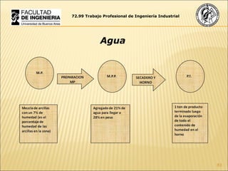 72.99 Trabajo Profesional de Ingeniería Industrial Agua 