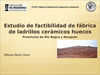 Estudio de factibilidad de fábrica de ladrillos cerámicos huecos Provincias de Rio Negro y Neuquén Alfonso Martin Carro 72.99 Trabajo Profesional de Ingeniería Industrial 