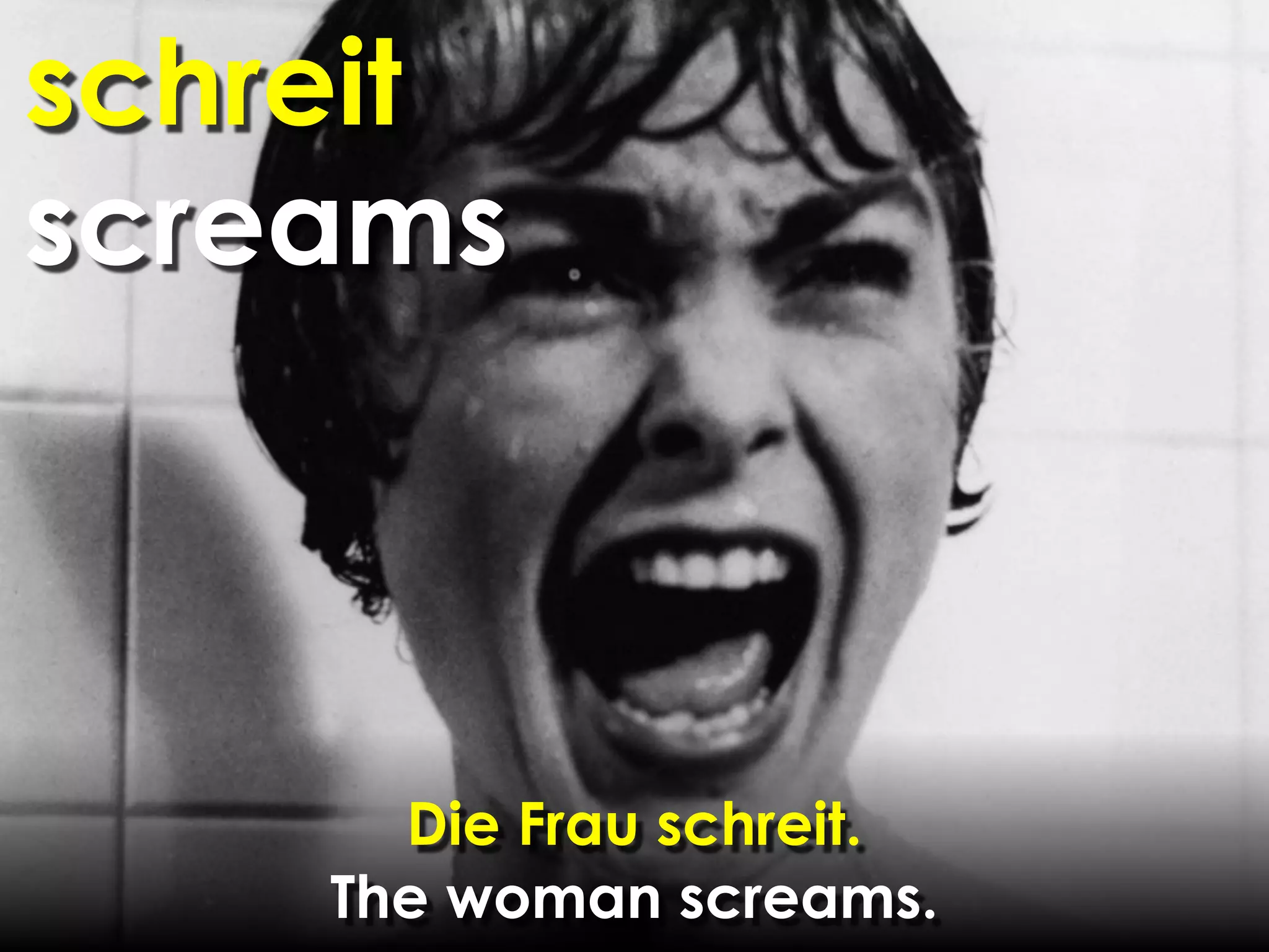 schreit
screams



      Die Frau schreit.
    The woman screams.
 