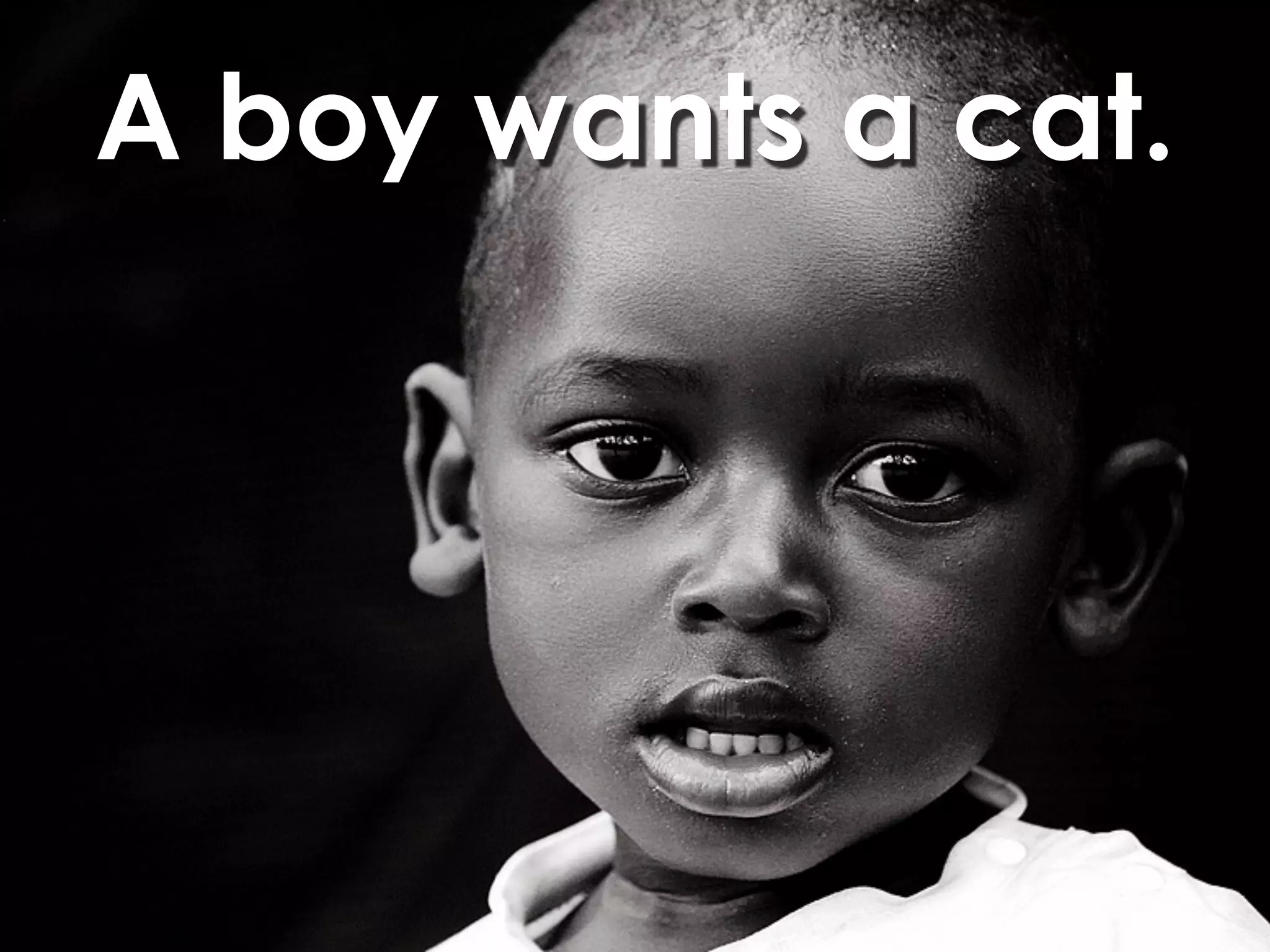 A boy wants a cat.
 