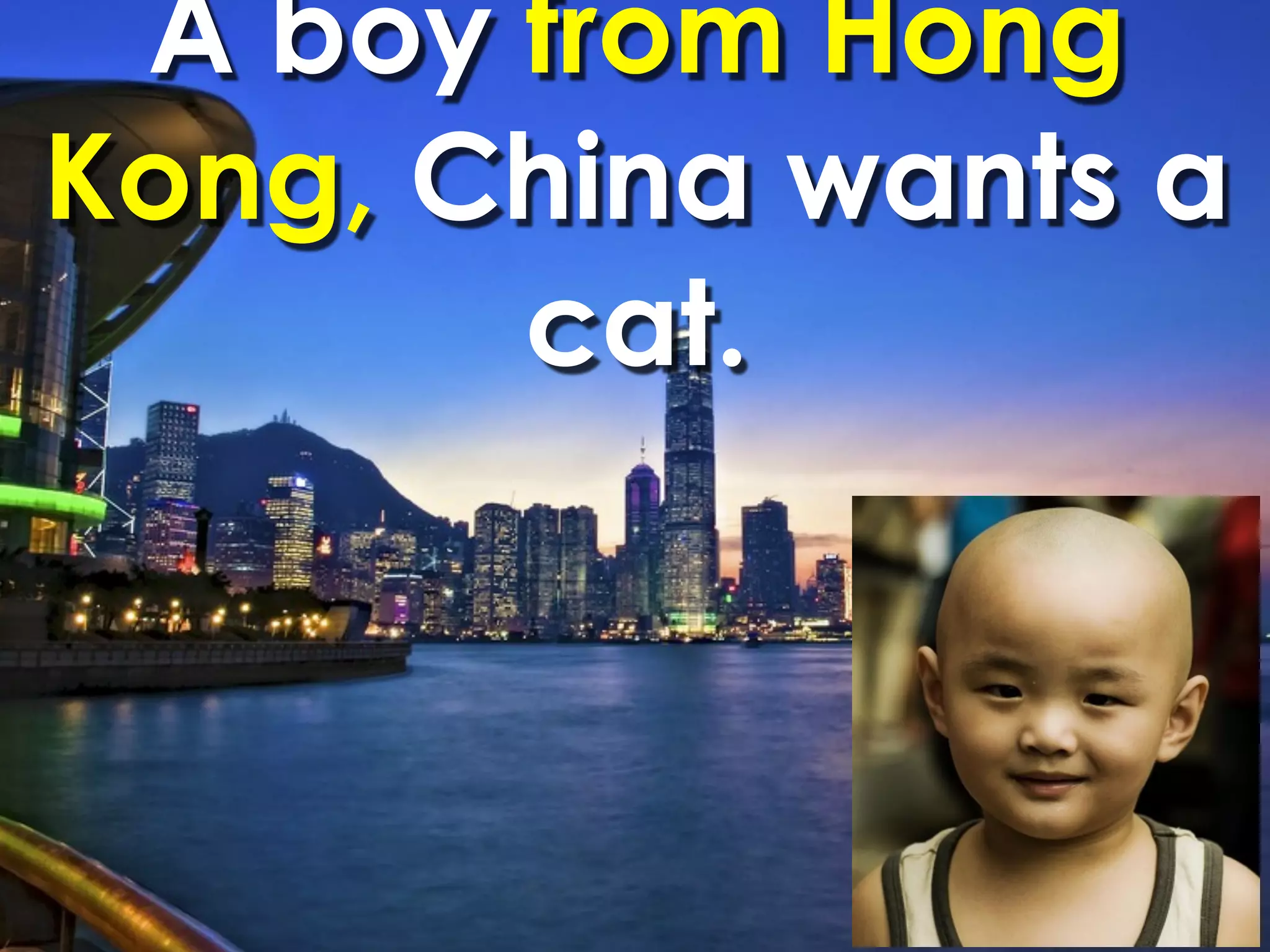 A boy from Hong
Kong, China wants a
       cat.
 