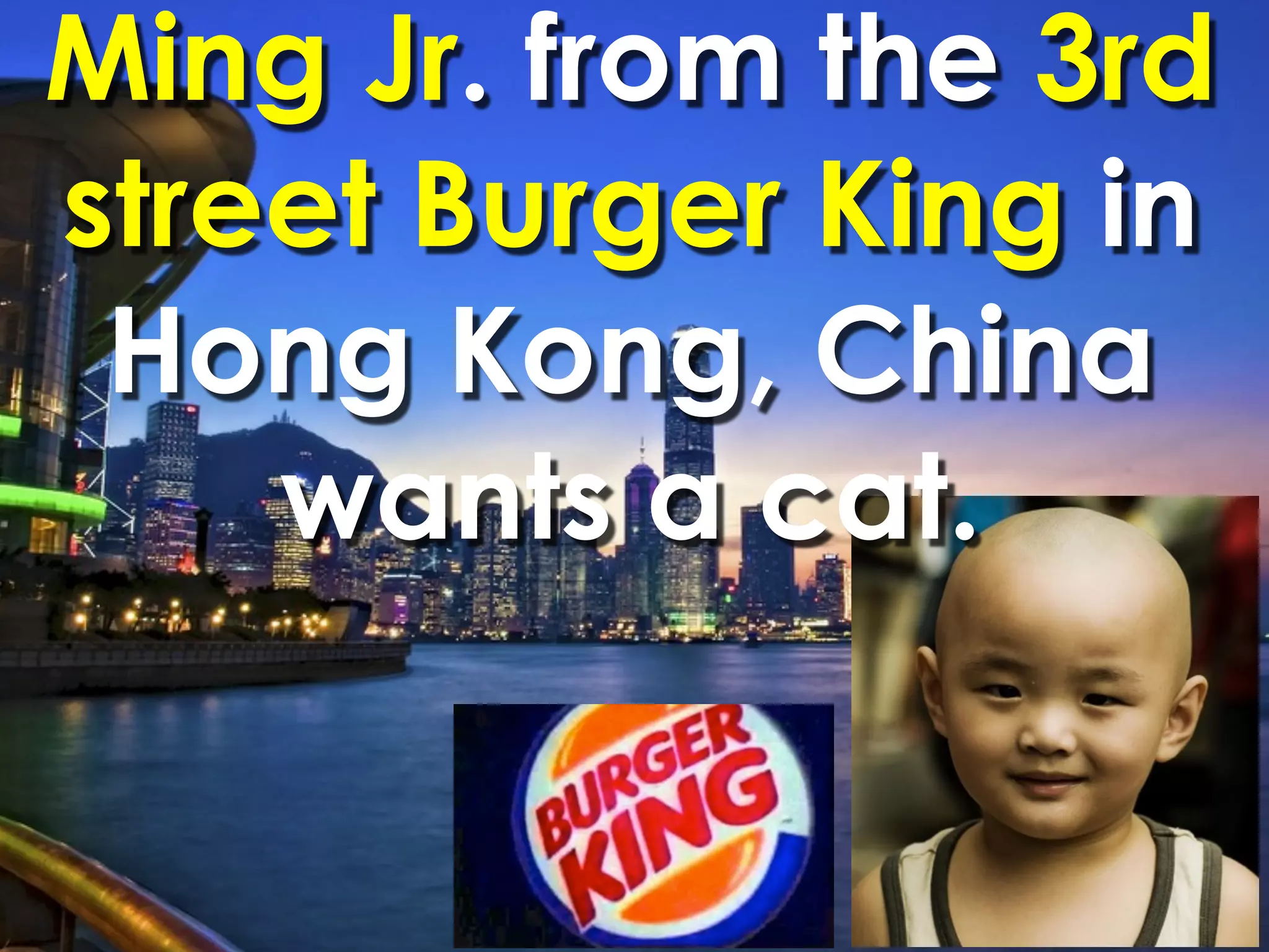 Ming Jr. from the 3rd
street Burger King in
 Hong Kong, China
    wants a cat.
 