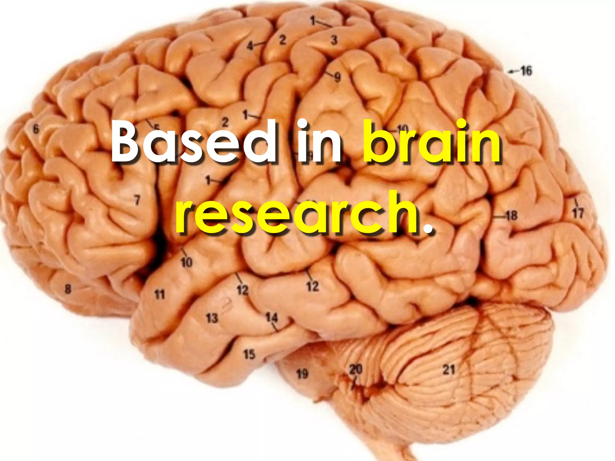 Based in brain
  research.
 