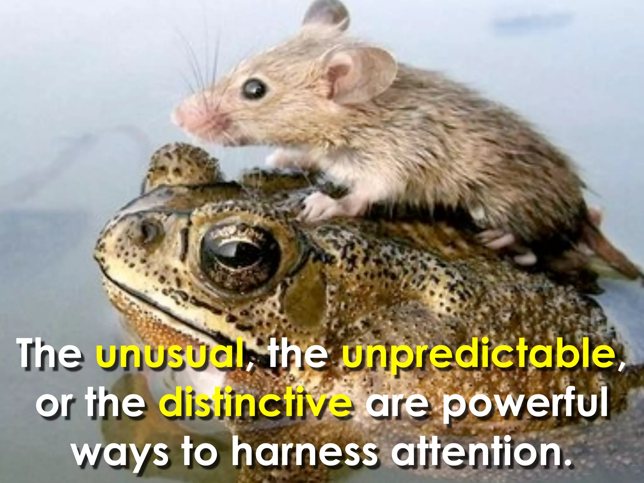 The unusual, the unpredictable,
 or the distinctive are powerful
   ways to harness attention.
 