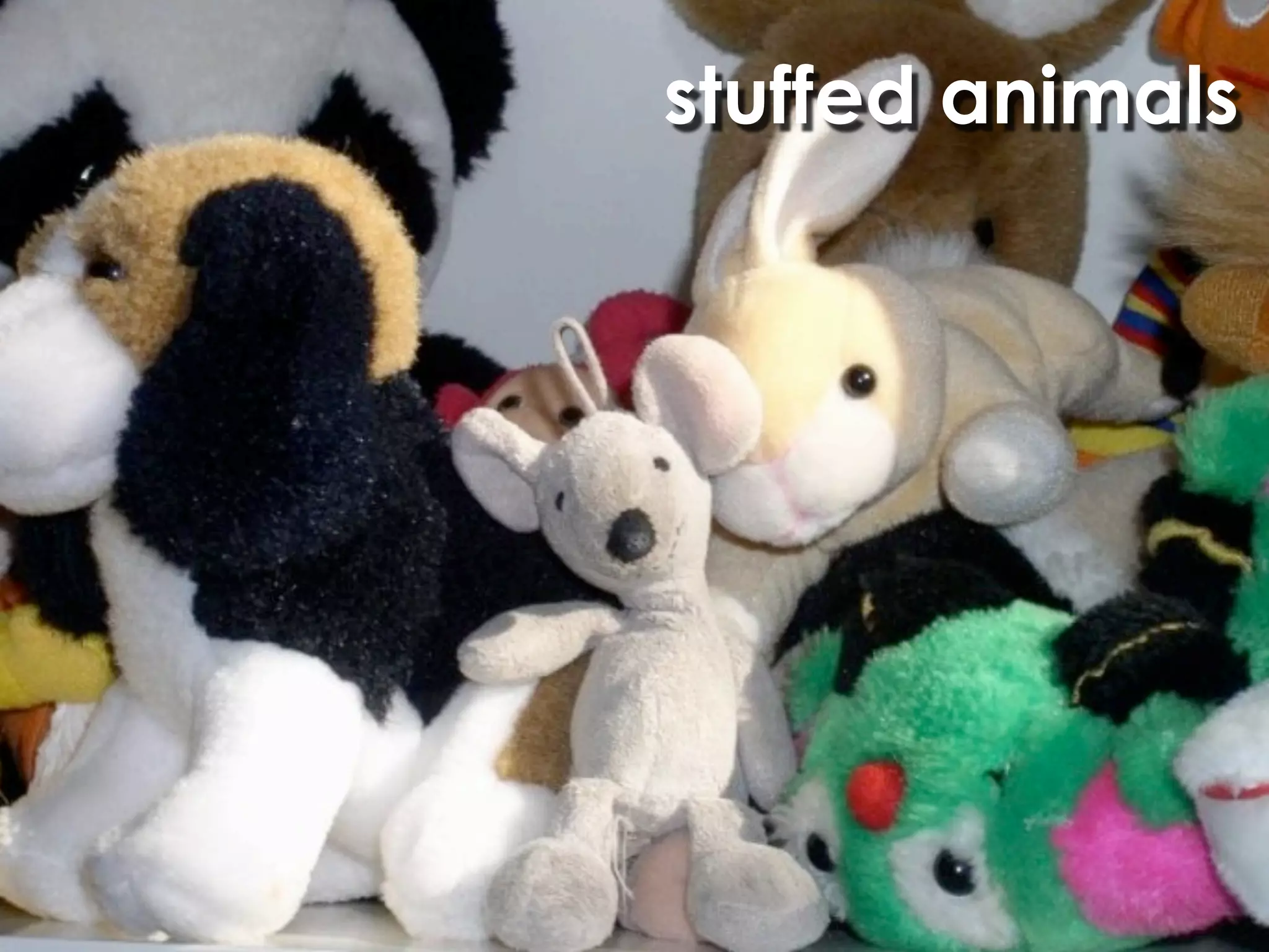 stuffed animals
 