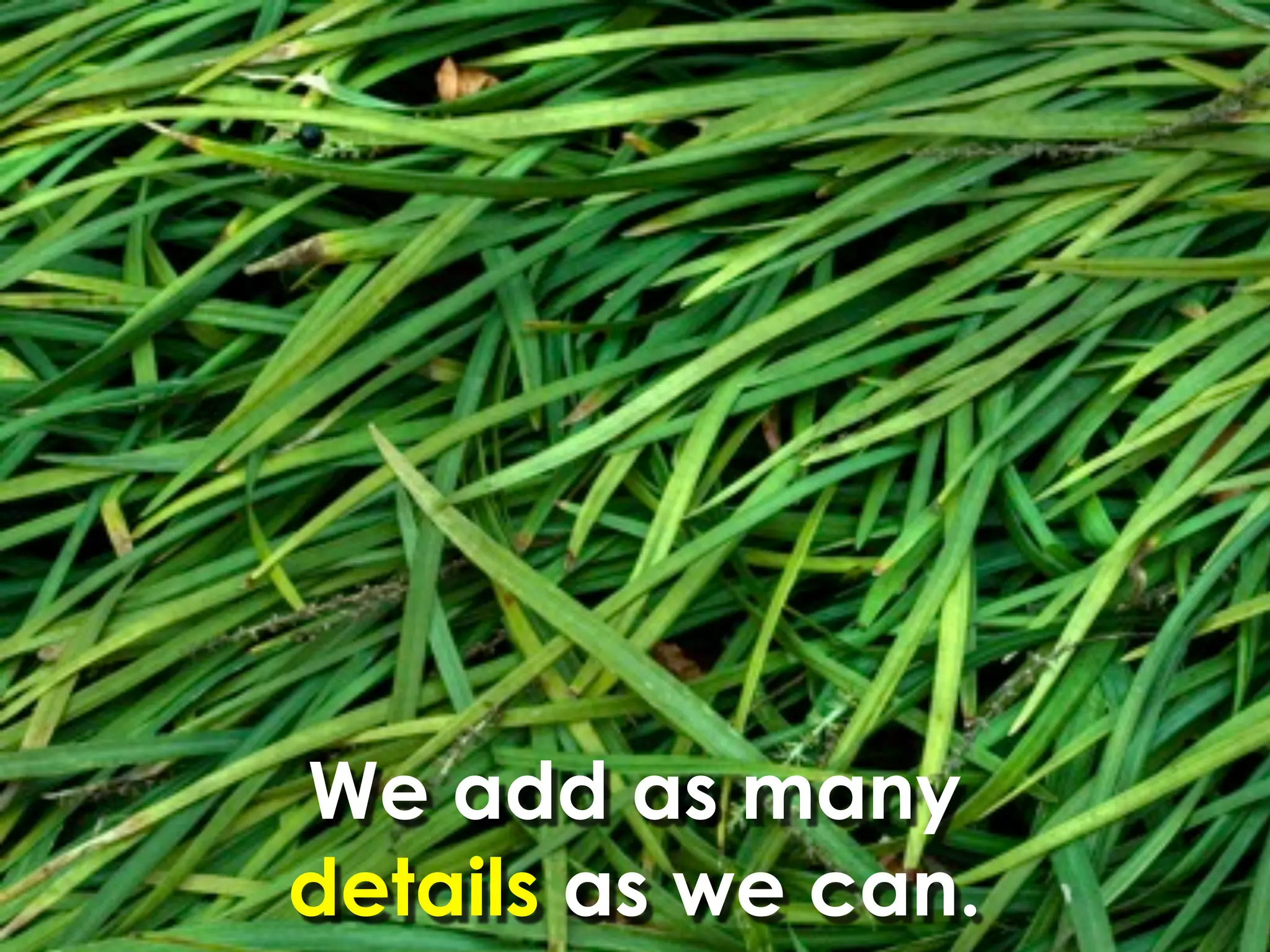 We add as many
details as we can.
 