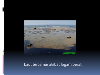 Laut tercemar akibat logam berat
 