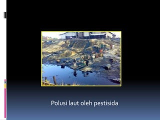 Polusi laut oleh pestisida
 