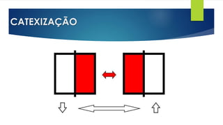 CATEXIZAÇÃO
 